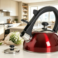 Bouilloire en acier inoxydable de qualité alimentaire pour cuisinières à gaz et à induction