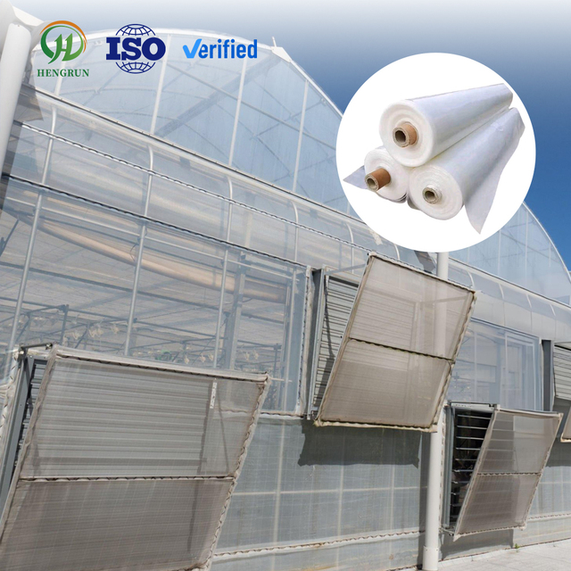 High Light Transmission Transparent Waterproof Anti-Fog Anti-Drip PE Polyethylene UV Resistant Thermal Insulation Long Life Film