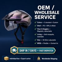 Casque de vélo directement de l'usine, en PC et EPS, avec doublure anti-moustiques et visière détachable, sécurité pour le cyclisme