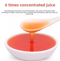 Sirop concentré de jus de pêche de 2,5 kg en bouteille, sucré et délicieux, saveur riche, couleur rose pour le bubble tea