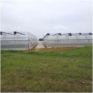 Op maat gemaakte grote commerciële tomatenkas, enkellaags, multi-span, uitgerust met corrosiebestendige, slimme landbouwtechnologie - Product Image 1