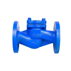 Válvula de Retención de Hierro Fundido Tipo Elevador, Estándar DIN - Product Image 3