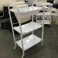 Chariot de Salon de Beauté Moderne en Plastique à 3 Niveaux et 4 Roues Facilement Déplaçable - Chariot de Coiffure pour Hôtel, Maison, Bureau et Atelier