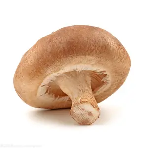 पेशेवर एक/अटल बिहारी निर्यात IQF सब्जी जमे हुए Shiitake मशरूम