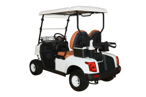 Voiturette de golf 2 places avec batterie 48V, moteur 3KW, vitesse ≤30Km/h, autonomie 50-70km, 2 sièges, moteur 3KW, 250 - Product Image 2
