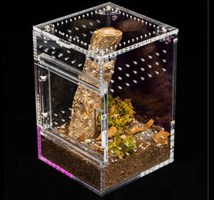 Op maat gemaakte & logo bedrukte schuifdeur magnetische acryl terrarium kweekkist voor tarantels - Product Image 1