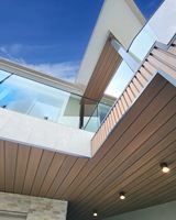 Panneau mural de plafond en composite bois-plastique WPC décoratif pour l'extérieur