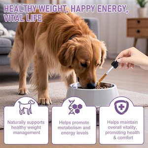 Dukungan kekebalan tubuh anjing tetesan chicweed & Gymnema suplemen gizi dengan dukungan metabolisme energi Organik Mineral - Product Image 3