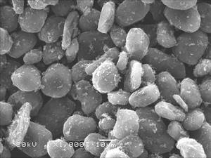 Polvo de Grafito Natural Gelon (Modificado Compuesto) para Ánodo de Batería de Iones de <span class=keywords><strong>Litio</strong></span>, Material de Grado de Batería con Pureza del 99.5% - Product Image 6