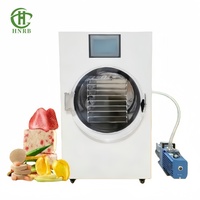 RB Kleine Vriesdroger Mini Liofilizador Gedroogd Fruit Droger Thuis Dehydrator Droogmachine voor Voedsel Noten Aardappelen Groenten 220V Gemakkelijk