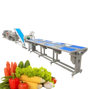 Fruit And Vegetables IQF Freezing Line Frozen Vegetable Green Bean Sweet Corn Production Line