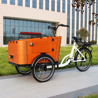 CE Europe Style EU Warehouse <strong>Best</strong> <strong>Selling</strong> 250W 500W Electric Dutch 3 <strong>Wheel</strong> Family Carrying Cargo Bike Tricycle Delivery <strong>Ebike</strong>