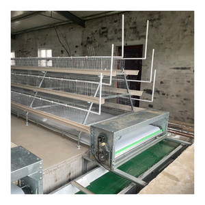 Modern Tasarım Pil Güçlü Yumurtacı Tavuklar İçin Kümes Ekipmanları Tavuk Kafesi Satılık - Product Image 2