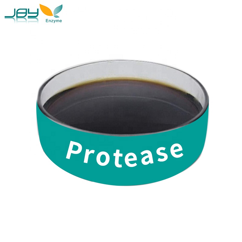 Food enzyme liquid hydrolyze meat protein protease for hydrolysing animal and plant proteins into peptides and amino acids