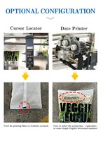 Machine de remplissage et d'emballage automatique à double tête pour sachets de noix et de lait en poudre avec moteur pour sacs alimentaires et chimiques VFFS
