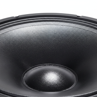 Haut-parleur de graves HIPOWER de 15 pouces, cadre en acier pressé, aimant en céramique/ferrite, puissance de pointe de 700 W, réponse en fréquence de 34 à 2 kHz