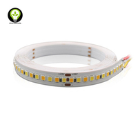 DC24V réglable LED bande Flexible double blanc CCT 2700-6500K 15 W/m USB connectivité télécommande commutateur cuivre corps IP20 évalué