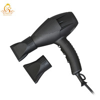 Sèche-cheveux portable pour animaux de compagnie EUR PET à ions négatifs, pour la maison et le salon, toilettage des chiens et des chats