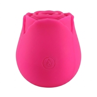 Vibrateur en forme de rose avec 10 modes de vibration pour femmes, stimulateur clitoridien et des mamelons, jouets sexuels pour adultes