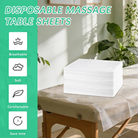Draps de lit jetables pour le voyage, vente en gros, draps de table de massage jetables non tissés, housses de lit jetables personnalisables