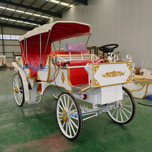 Calèche de luxe Victoria pour visites touristiques, transport spécial, calèche de mariage, calèches à chevaux à vendre - Product Image 3