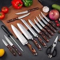 Couteau de chef en acier inoxydable à haute teneur en carbone, 15 pièces, ensemble de couteaux de cuisine ultra-affûtés avec manche en bois, bloc et aiguiseur pour la cuisine à domicile