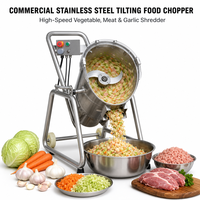 Commerciële industriële automatische voedselhakselaar, groente- en fruitpers, mixer, blender, 220V, voor restaurantgebruik