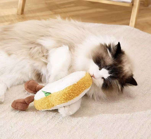 Teddy peluche Pet gatto e cane giocattoli con erba gatta per gatti per alleviare la noia e fare suoni giocattolo per animali domestici - Product Image 4