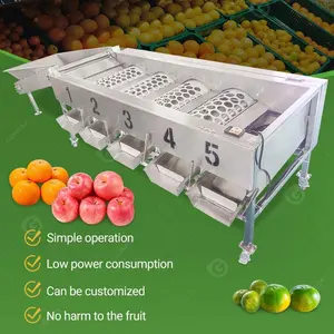 アプリコットオニオン柑橘類ポテトフルーツデイトアボカドはサイズを並べ替えるグレーディング選別機とフルーツのパッキングを作る