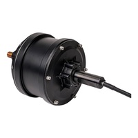 Moteur de moyeu servo de 16 pouces 1000W 100N.m 150N.m avec pneu tout-terrain et arbre en D