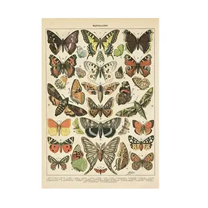 Popular Vintage French Types of Papillons Butterflies Poster Vintage Wall Decor Gift for Teen Girls' Dorm Room