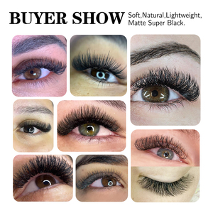 Chất Lượng Cao 8D W Hình Dạng Khối Lượng Cá Nhân Lông Mi Giả Dễ Dàng Để Áp DỤNG Clover Nhãn Hiệu Riêng Lash Phần Mở Rộng - Product Image 6