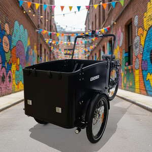 Vélo cargo électrique à 3 roues, entrepôt européen, Lastenrad Bakfiets néerlandais pour usage familial quotidien - Product Image 6
