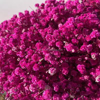 Bunga Baby's Breath Putih Alami Kering, Buket Gypsophila untuk Dekorasi Pernikahan, Centerpiece & Lorong, Dekorasi Rumah