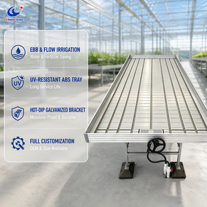 Tavolo per coltivazione idroponica ChenChao Factory Ebb and Flow, resistente, con vassoio in ABS, per serra - Product Image 1