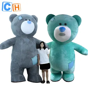 CH stage performance adult cheap wearable walking mascot adult custom stage performance costumes