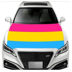 Housse de capot de voiture de haute qualité, élastique, résistante aux intempéries, lavable, pour la fierté <span class=keywords><strong>gay</strong></span> et lesbienne, pour la décoration - Product Image 6