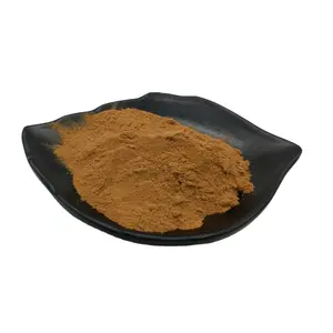 Natural Plant Extract saw palmetto extract pure powder cas 84604-15-9 10:1 saw palmetto extract powder