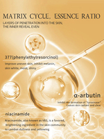 Sérum Anti-Âge et Anti-Rides 377 Ampoule à la Niacinamide, Arbutine, Hyaluronate de Sodium et Glycérine, Élimination des Taches de Rousseur, Vente en Gros