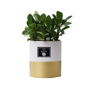 Home Decor Luxury Modern White And Gold Cylinder Ceramic Garden Pots&Planters