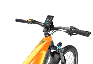 VTT électrique à suspension intégrale de 29 pouces, moteur 250W, batterie 48V 20Ah 960Wh, capteur de cadence de couple commutable, VTT électrique MG600 Pro - Product Image 5