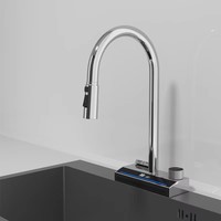 Lusa Enkelgreeps Keramische Keukenkraan met Digitale Temperatuurweergave, Uittrekbare Spuitkop, Koud en Warm Water, Moderne Messing Spoelbakmengkraan