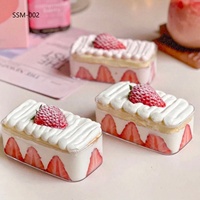 Grande Boîte à Tiramisu en Plastique Acrylique, Récipient Transparent pour Gâteaux, Tiramisus et Desserts à la Gelée