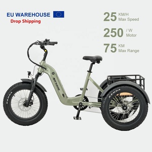Entrepôt <span class=keywords><strong>allemand</strong></span> livraison rapide 250w tricycle électrique à 3 roues avec paniers avant et arrière - Product Image 1