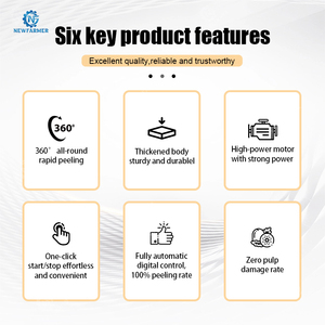 Máquina Peladora de Cebollas para Pequeñas Empresas con Inversión Asequible y Alto Rendimiento, Equipo para Quitar la Piel para Procesadores de Alimentos <span class=keywords><strong>en</strong></span> Crecimiento - Product Image 4