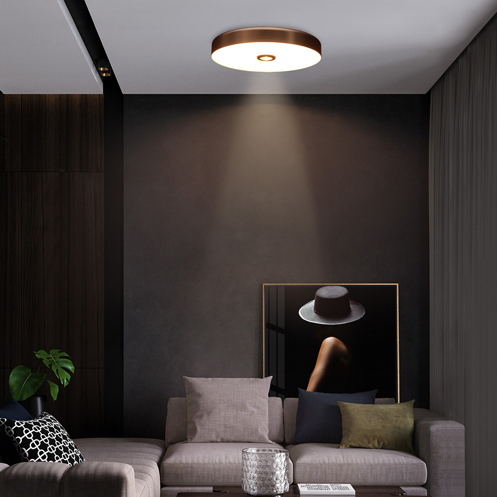 Architect Designer Creative Ceiling Lamp with Original Lighting Design Fashionable Ceiling Lamps for Living and Dining Room