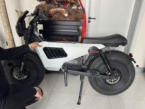 Bicicleta Elétrica Personalizada de Fábrica com <span class=keywords><strong>Motor</strong></span> Duplo e Freio a Disco, Bicicleta Elétrica de Estrada 48V 60V 20 polegadas - Product Image 6