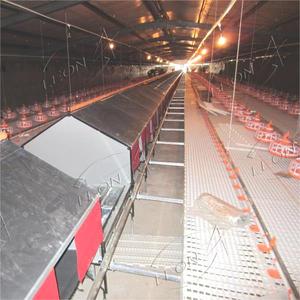 Attrezzatura Automatica per l'Alimentazione del Pollame a Prezzo Conveniente per Allevatori - Product Image 4