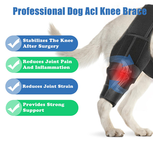 Attelle de genou pour chien de compagnie pour ACL déchiré jambe arrière sangles de chat réglables protecteur de blessure chien genouillère soutien pour jambe arrière et avant - Product Image 5