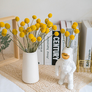 Fleurs séchées naturelles en promotion pour la décoration florale de mariage et de maison : Craspedia Golden Ball et Billy Balls séchées pour une décoration vintage. - Product Image 3